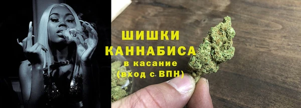 индика Балабаново