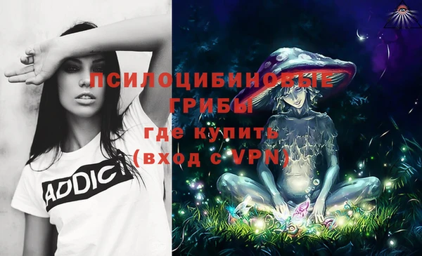 амф Белокуриха