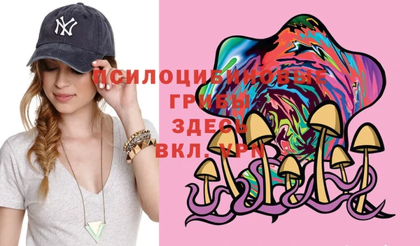 apvp Баксан