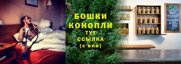 индика Балабаново