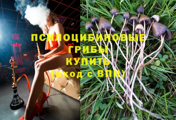 apvp Баксан