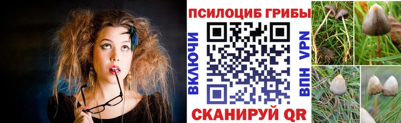 Галлюциногенные грибы Psilocybe  Купить где  Воскресенск 